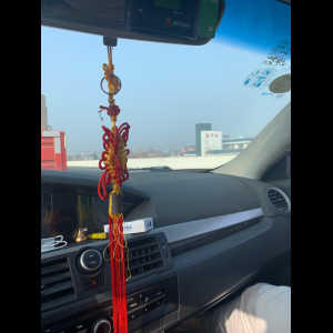 “为什么很多车没有后排中央头枕?能自己加装吗?”