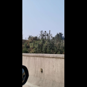 “为什么很多车没有后排中央头枕？能自己加装吗？”