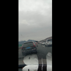 “为什么很多车没有后排中央头枕？能自己加装吗？”