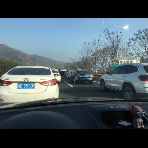 “为什么很多车没有后排中央头枕？能自己加装吗？”