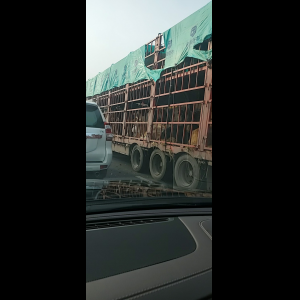 “为什么很多车没有后排中央头枕？能自己加装吗？”
