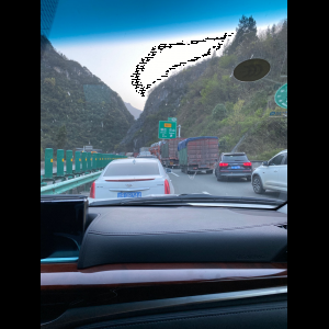 “为什么很多车没有后排中央头枕？能自己加装吗？”