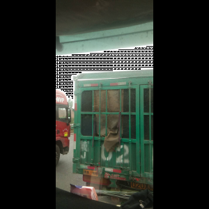 “为什么很多车没有后排中央头枕？能自己加装吗？”