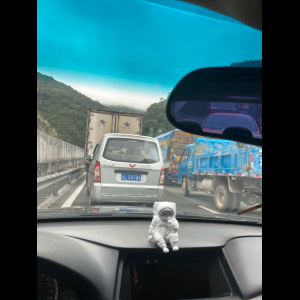 “为什么很多车没有后排中央头枕？能自己加装吗？”