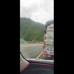 “为什么很多车没有后排中央头枕？能自己加装吗？”
