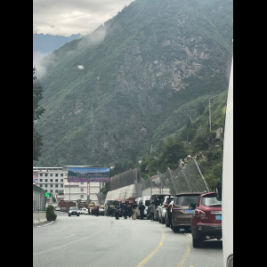 “为什么很多车没有后排中央头枕？能自己加装吗？”
