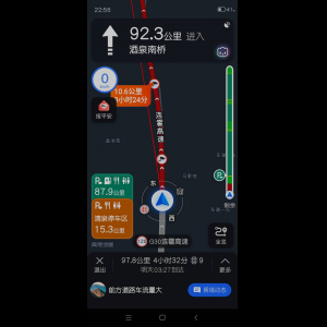 “为什么很多车没有后排中央头枕？能自己加装吗？”