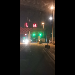 “为什么很多车没有后排中央头枕？能自己加装吗？”