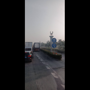 “为什么很多车没有后排中央头枕？能自己加装吗？”