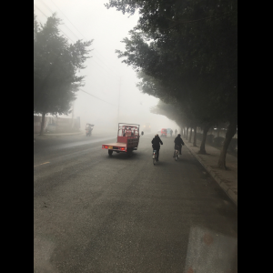 “为什么很多车没有后排中央头枕？能自己加装吗？”